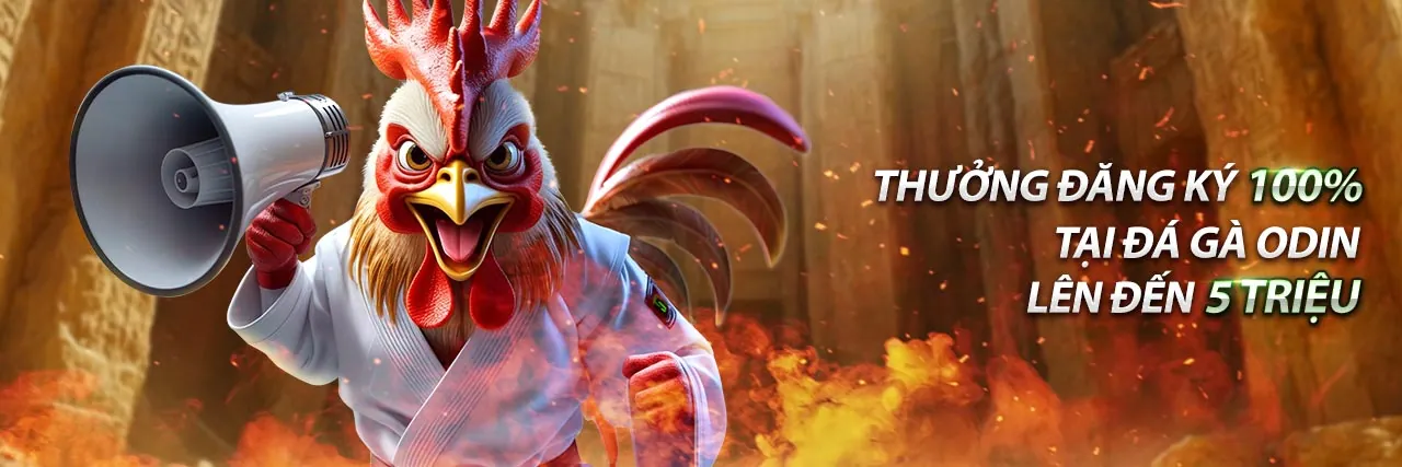 Giao diện đăng ký win55 km99k