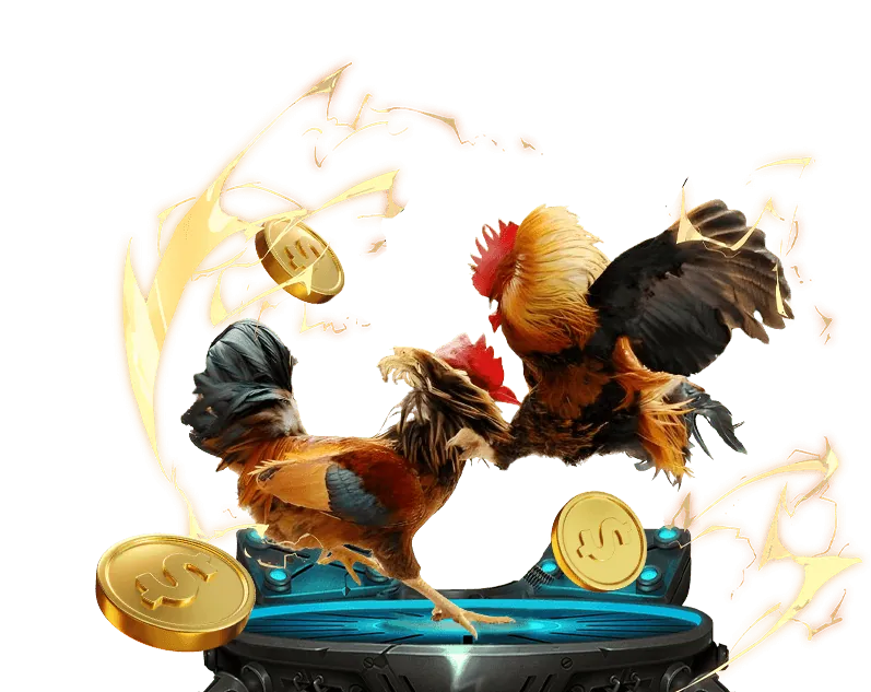 Chính sách cá cược có trách nhiệm win55 km99k